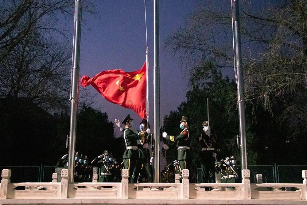拯救精灵的土地9